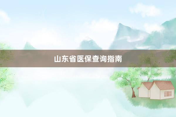 山东省医保查询指南