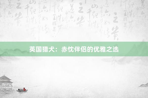 英国猎犬：赤忱伴侣的优雅之选