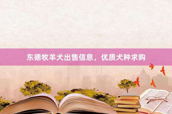东德牧羊犬出售信息，优质犬种求购