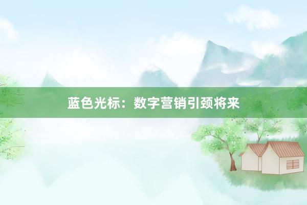 蓝色光标：数字营销引颈将来